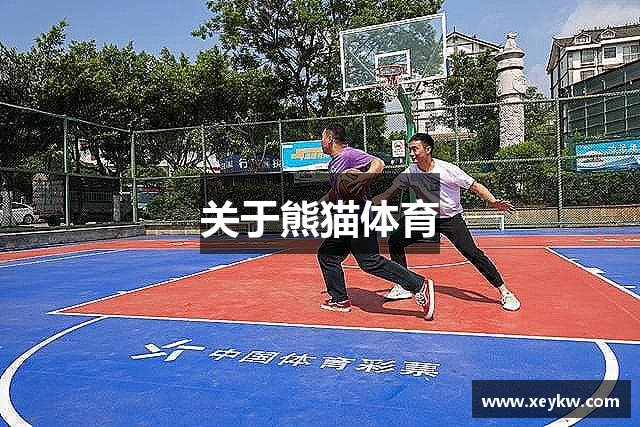 关于熊猫体育